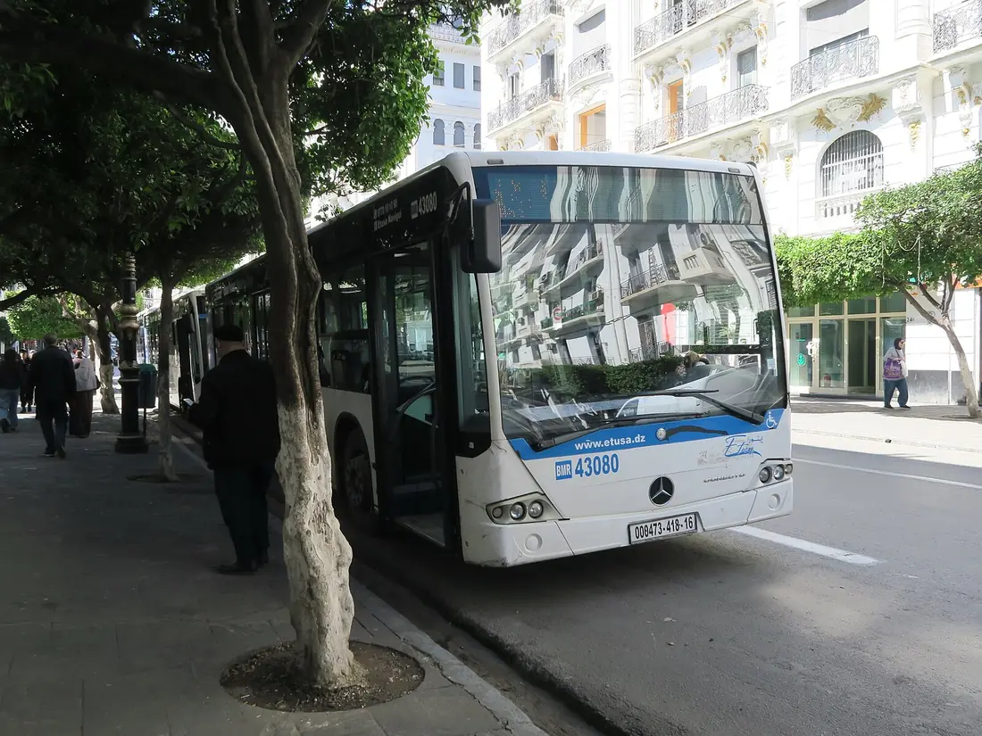 Un bus ETUSA à son arrêt dans une rue arborée d'Alger.